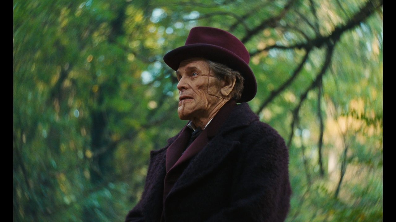 mpv-shot_Poor.Things.2023.1080p.BDREMUX.AVC-Нечипорук_01_09_55_0007