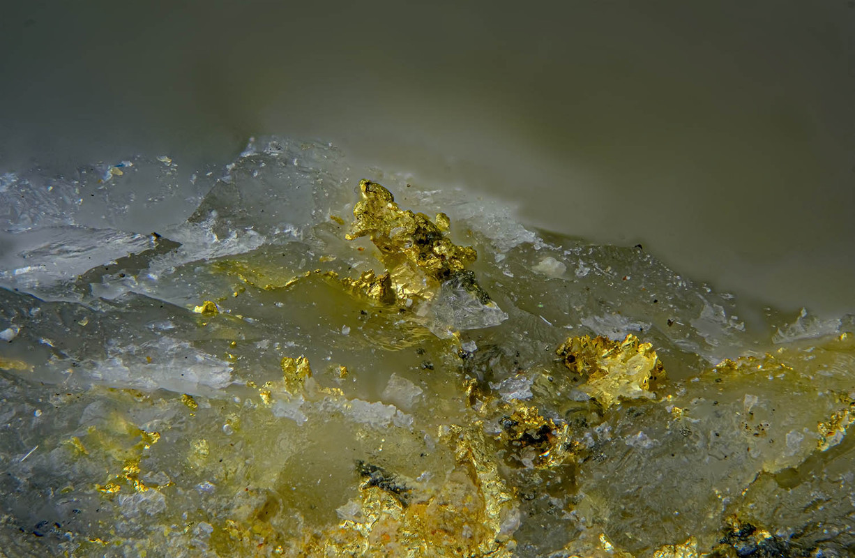 oro_bourneix_20