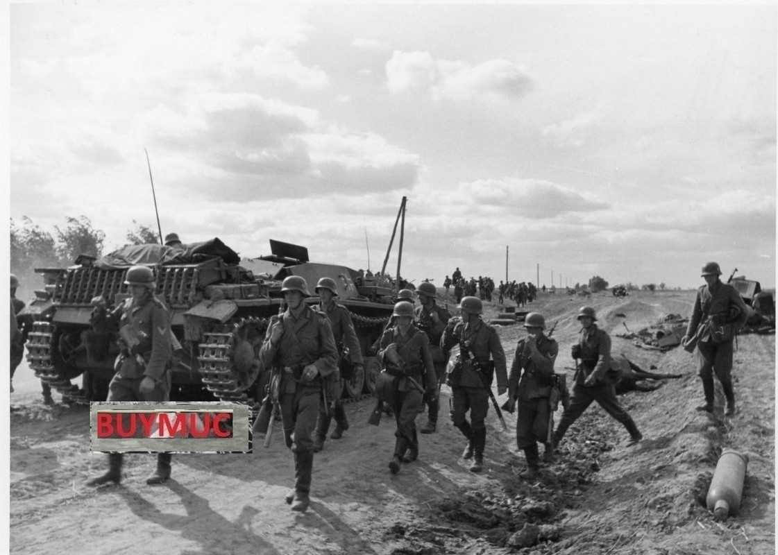 LARGE FOTO PANZER TANK STURMGESCHÜTZ UKRAINE BAR