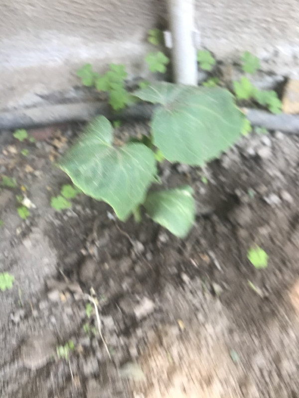 75909666-A5D6-4EB2-B7E3-F1E1D316652D