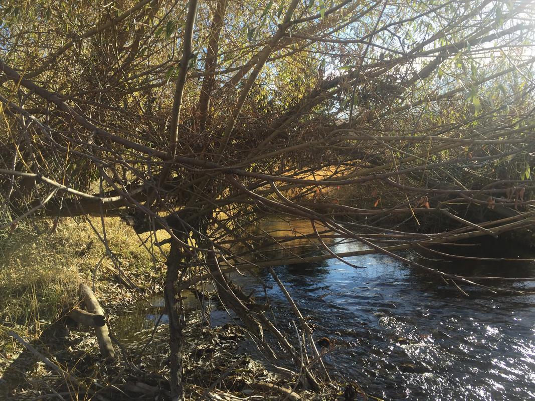 74E65AC2-306D-48E0-ACFB-795E7E1C0007