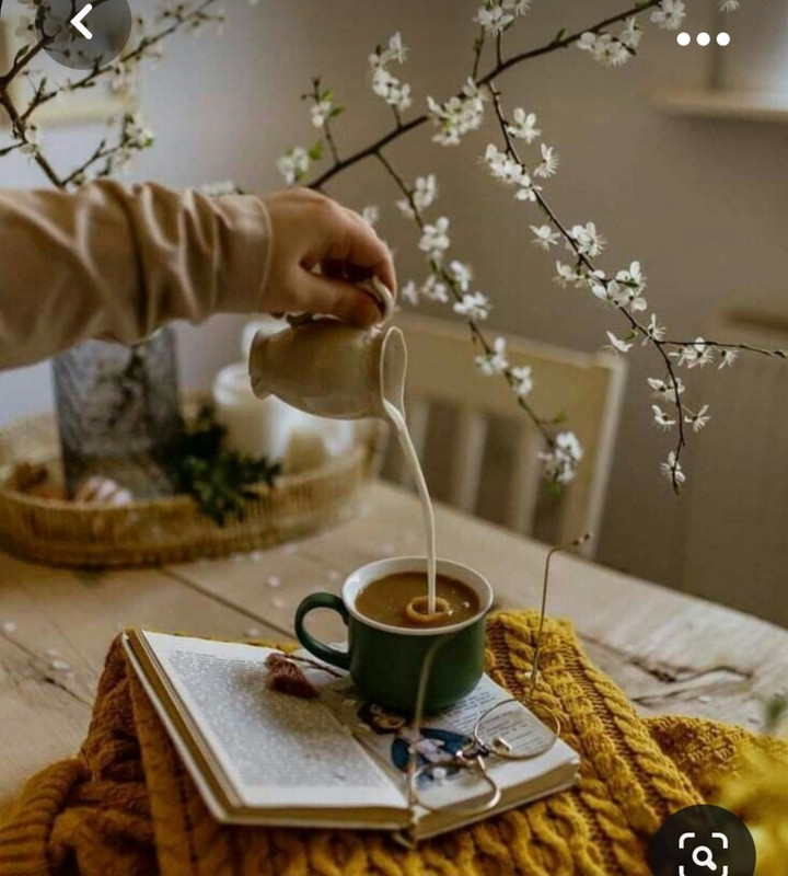 Screenshot_20230930_153828_Pinterest