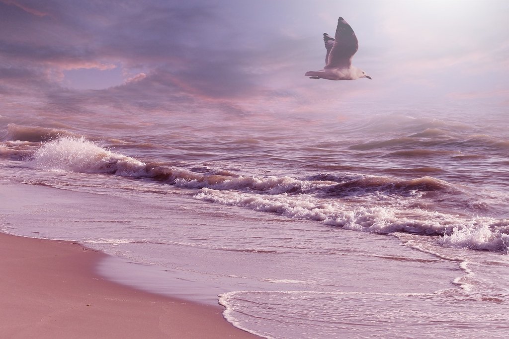 pink-ocean.jpg