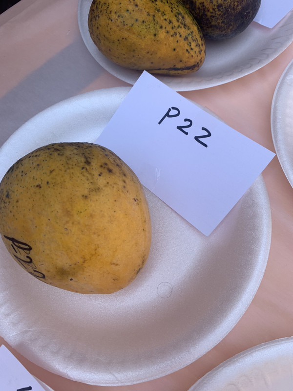 F5F836B6-EC03-41A6-9ED3-3DD9B729220C