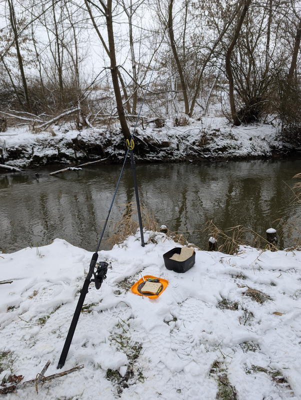 PXL 20260101 095612362