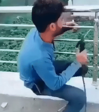 https://i.postimg.cc/6376k80t/ezgif-com-video-to-gif-1.gif