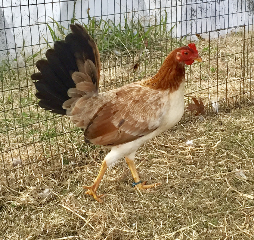 703DD1C3-F790-43FA-B18D-7105D8661F7C