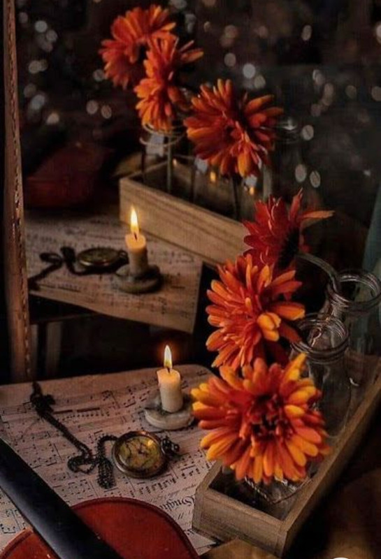 Screenshot_20221215-201700_Chrome