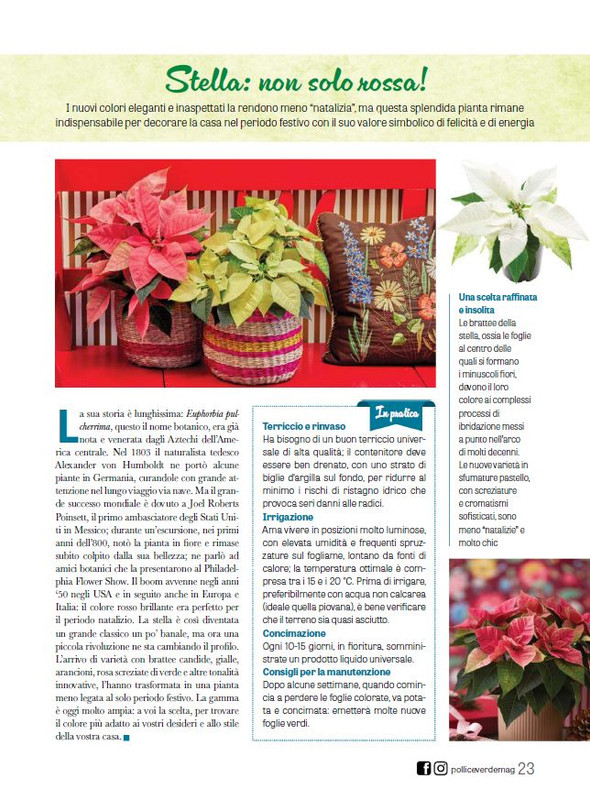 Pol Ver Dic 2023-Gen 2024 (3)