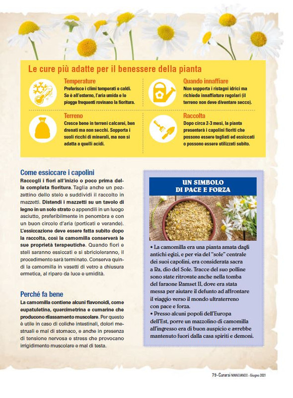 Cur Mang Giu 2021 (13)