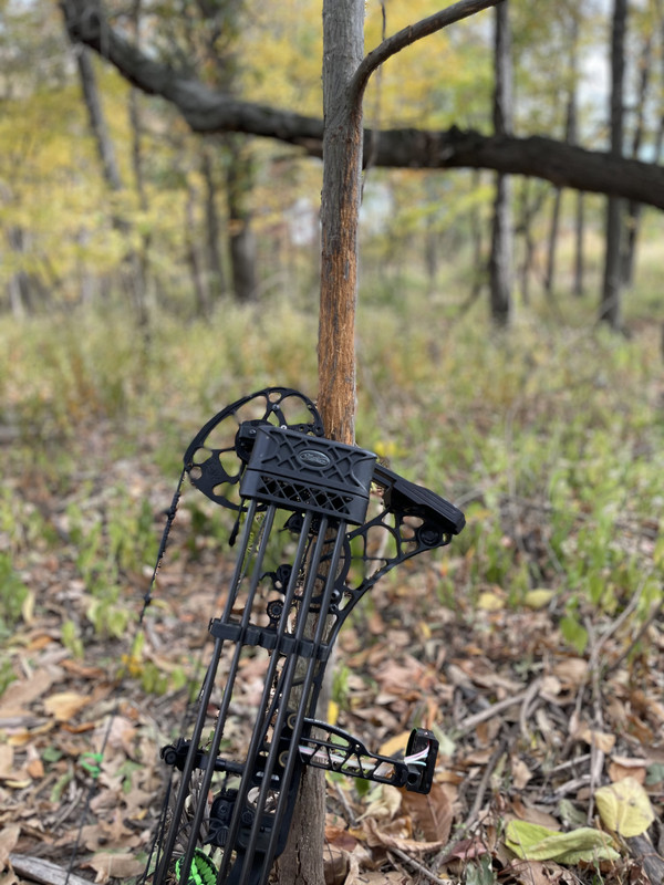 69E56700-A672-4D60-A2AE-A106396EE2DC