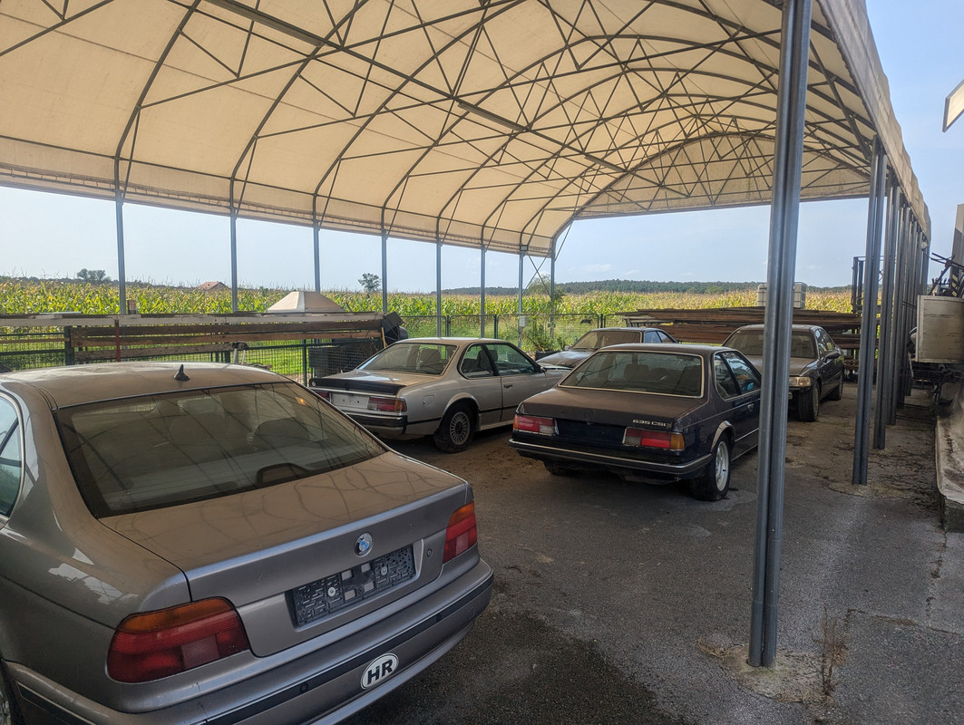 PXL_20240827_091436781