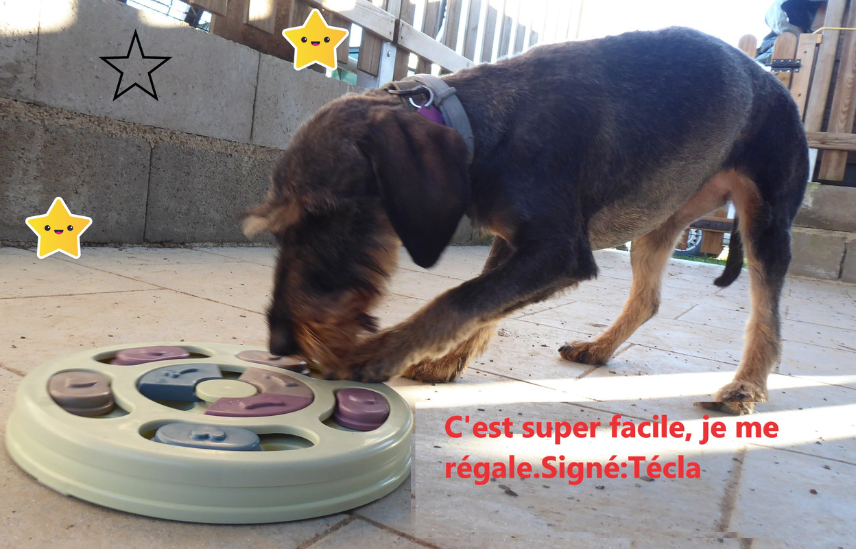 [Image: Sans-titre.jpg]