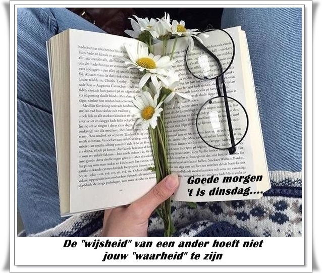welkom opblog Bunic Jos