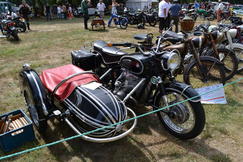 DSC_1363