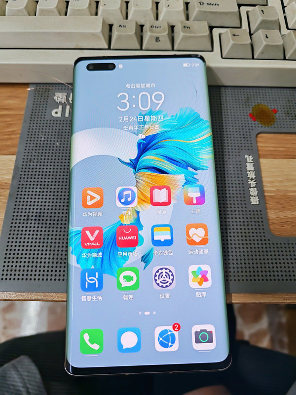 photo 2026 01 24 15 35 46