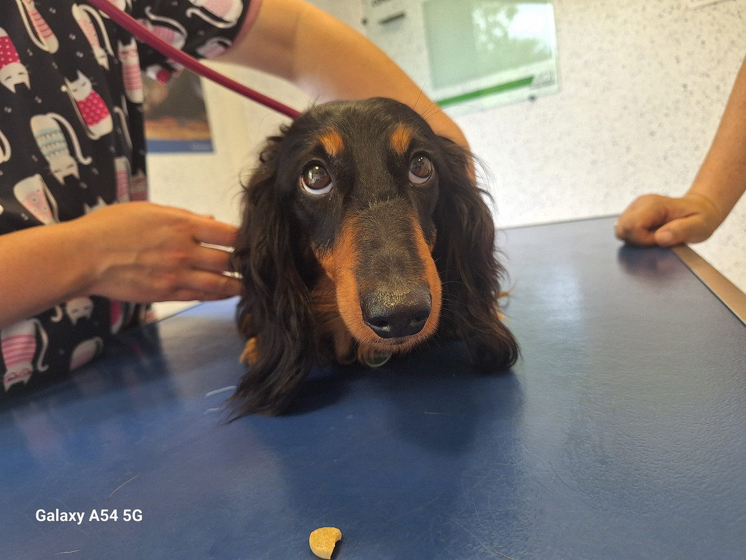 [Image: 20240618-165045.jpg]