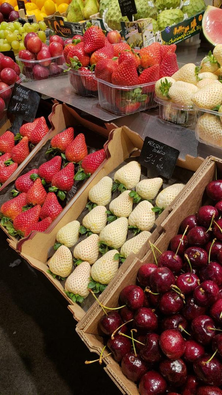 Whats App Image 2026 01 15 at 6 28 40 PM