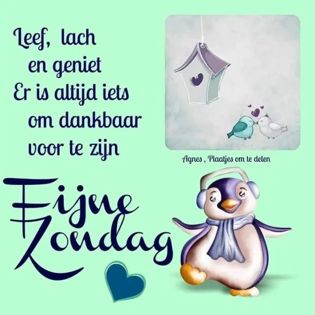 fijne-zondag1480238682.webp
