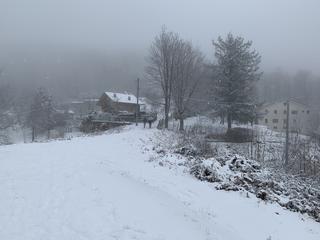 D3A5EE84-0822-4306-B3DD-4911078583B4