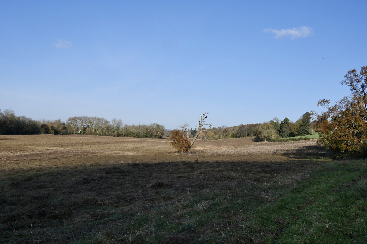 FF058BE8-5823-4D4B-89FA-C647FE8C1190