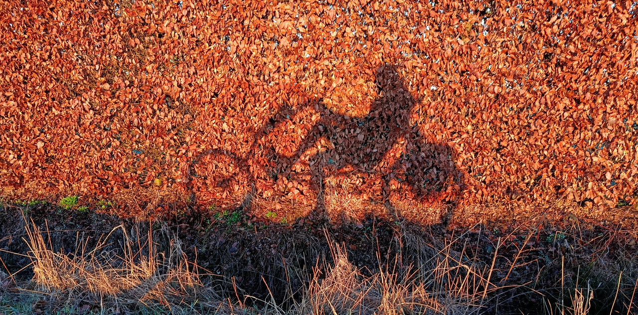 [Afbeelding: 1000041628.jpg]