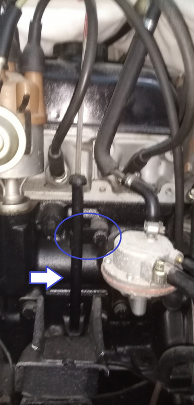 IMG 20260126 144336 resized 20260126 061145888