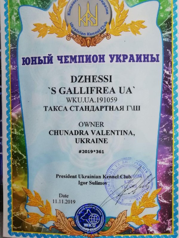 photo_2020-02-03_12-02-49