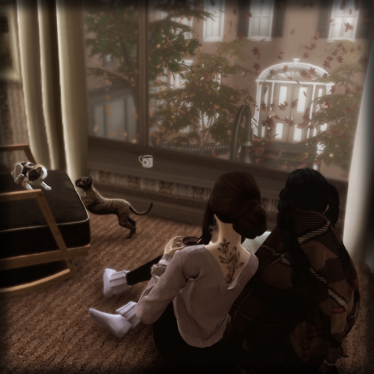 ST2.jpg