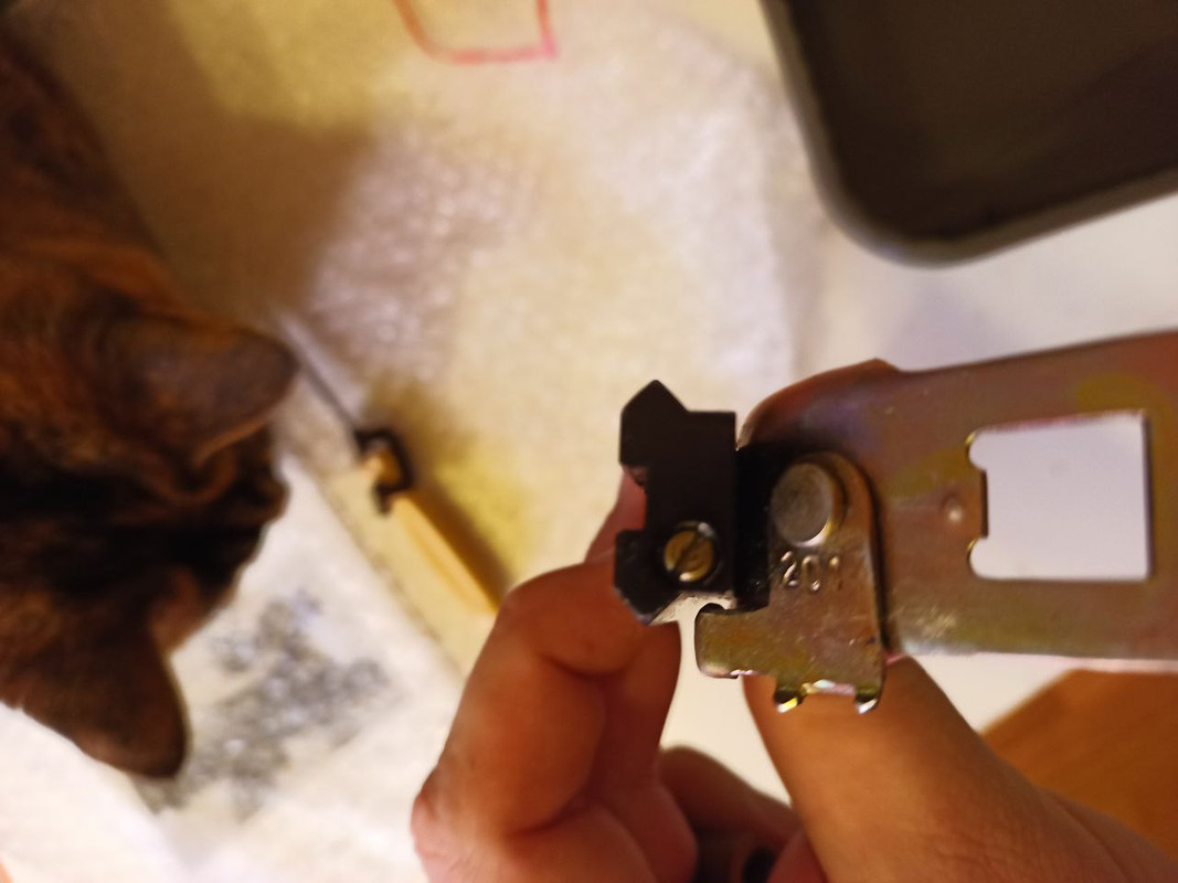 photo_2024-03-21_09-17-57