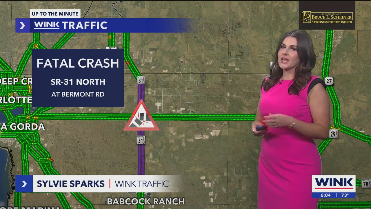 05.22 - 11.00.00 - WINK News at 6 00am. Morning news coverage..ts_snapshot_04.53.747