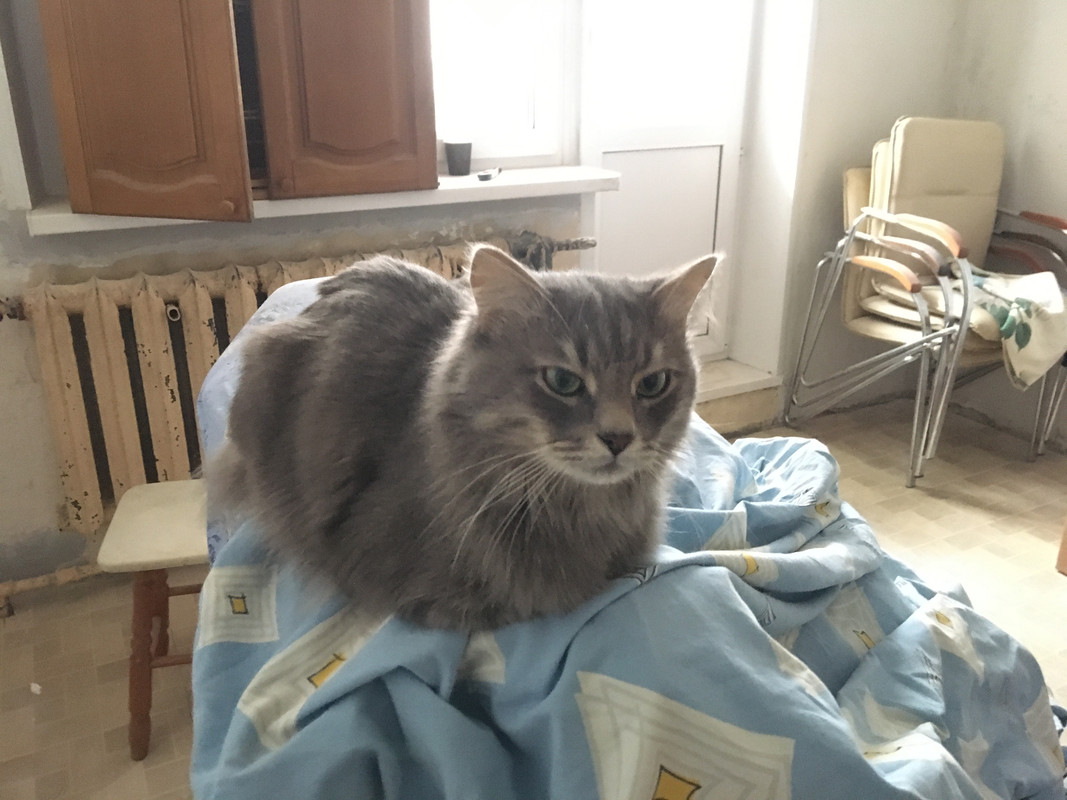 1522C305-C3E1-49C1-B6FE-B46FD115CE89