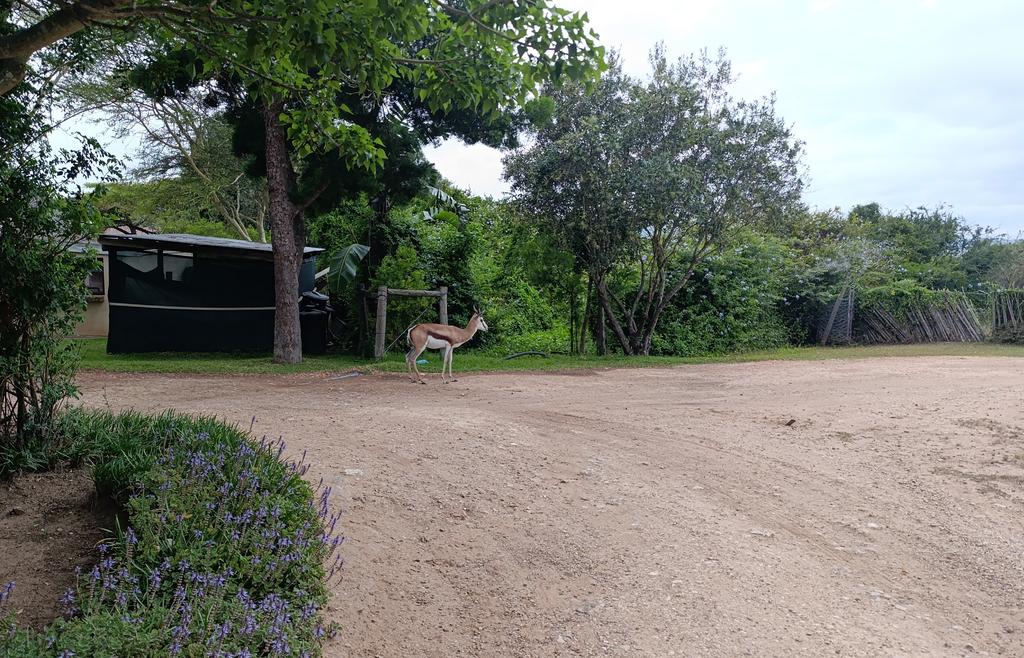 Такая близкая Африка. (ЮАР. 22 дня и 4200 км. Ноябрь-Декабрь)