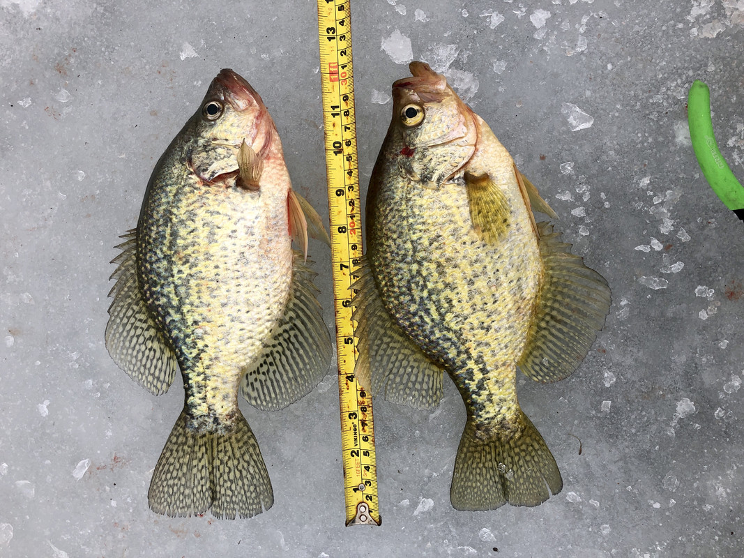 F2461433-F8D4-4553-9718-E1CE863AA6D7