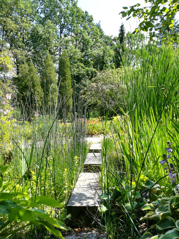 008 - IMG_20190714_131444