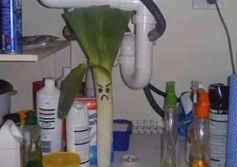 i-found-a-serious-leek-under-my-sink-v0-v1d8uzxjwcca1-3326188726.jpg