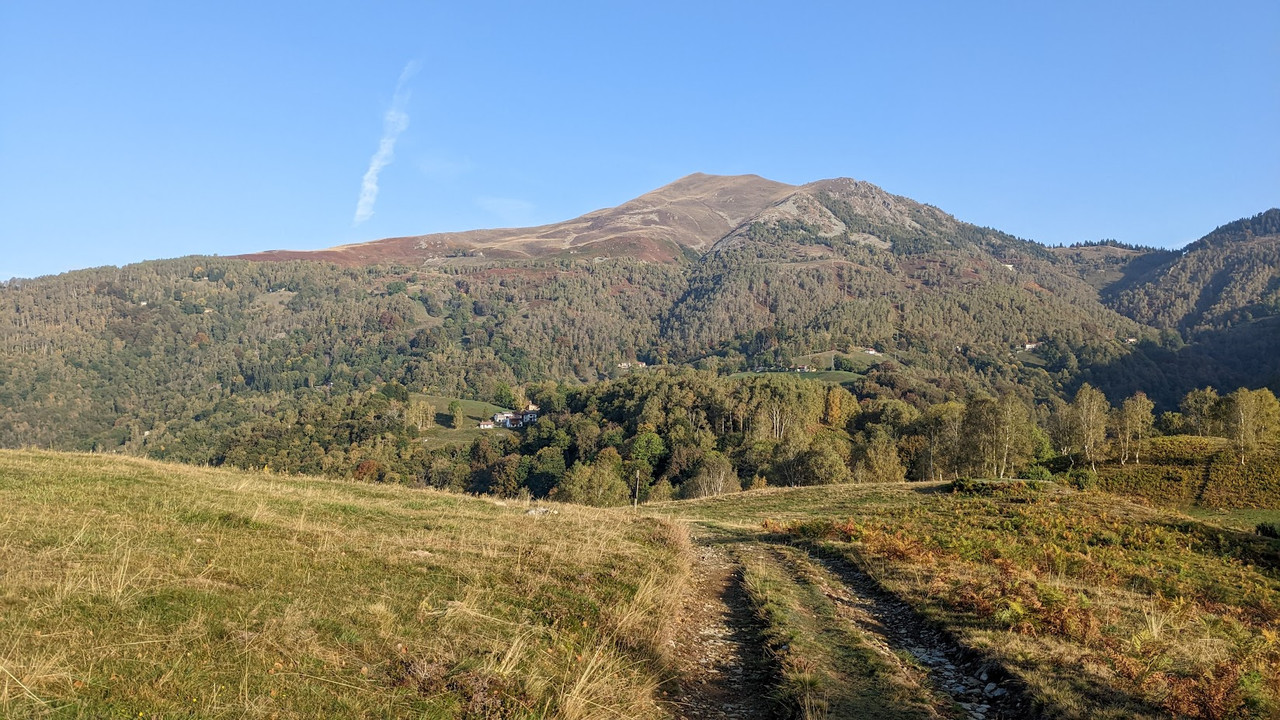 PXL_20221008_065619281