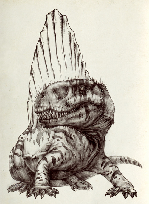 tumblr_mehb6ruYxr1qmokero1_500