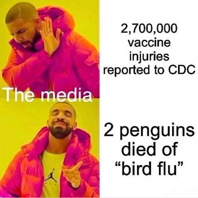 bbdrr5003.png