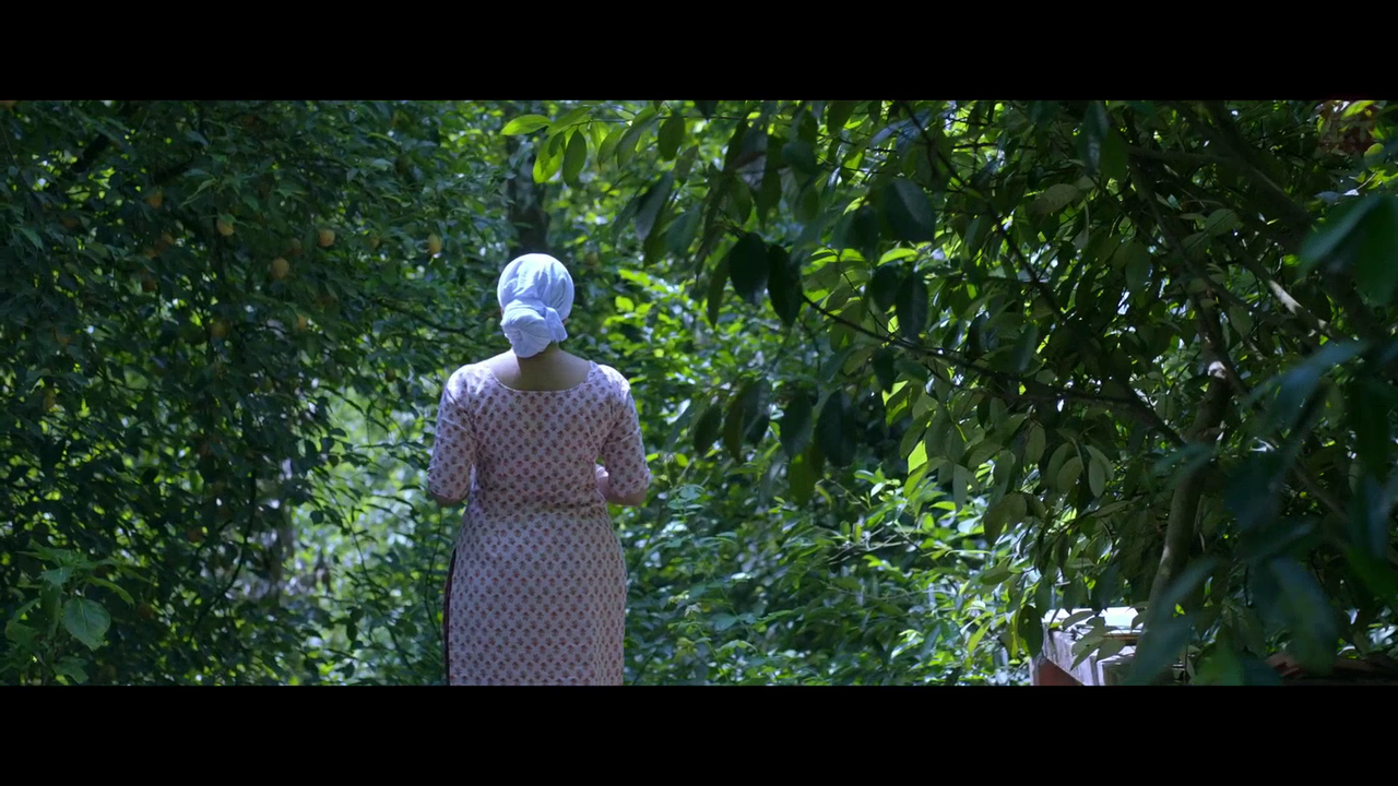 vlcsnap 2026 02 11 15h45m19s573