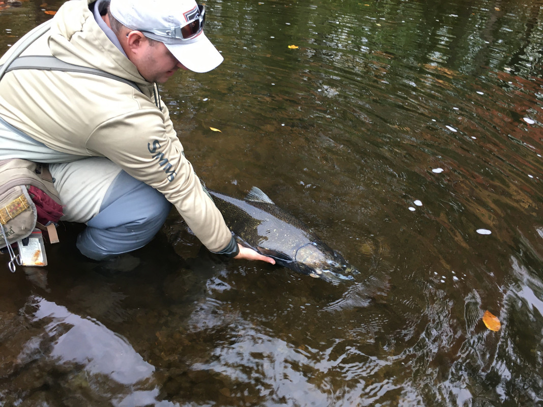 E005B429-FCB3-4BDC-A660-1111C5FF252A