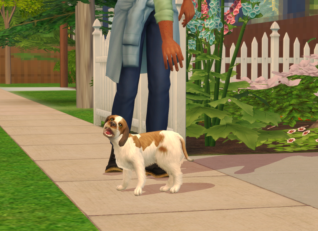 Sims2-EP9-RPC-2024-04-05-20-38-20-38