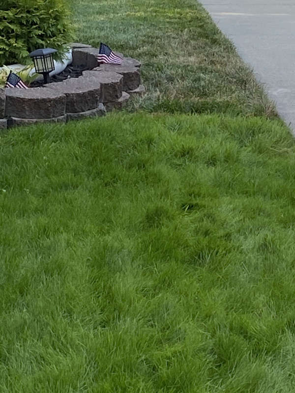 E7C6BED5-E2C0-4BD4-AE92-BDE835CF4ADD