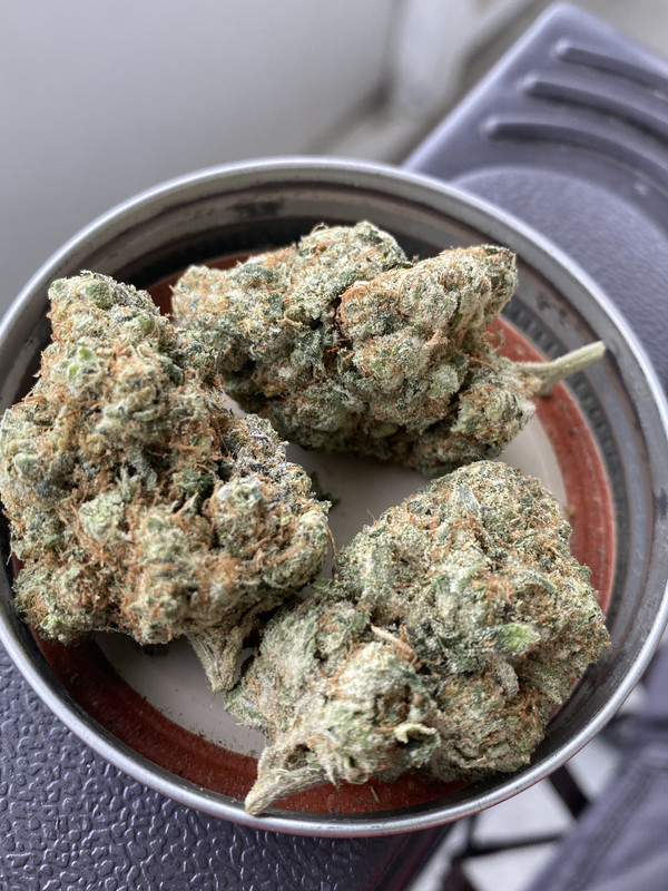 E7ECFC0F-4A06-427E-AD48-2975F5A02290