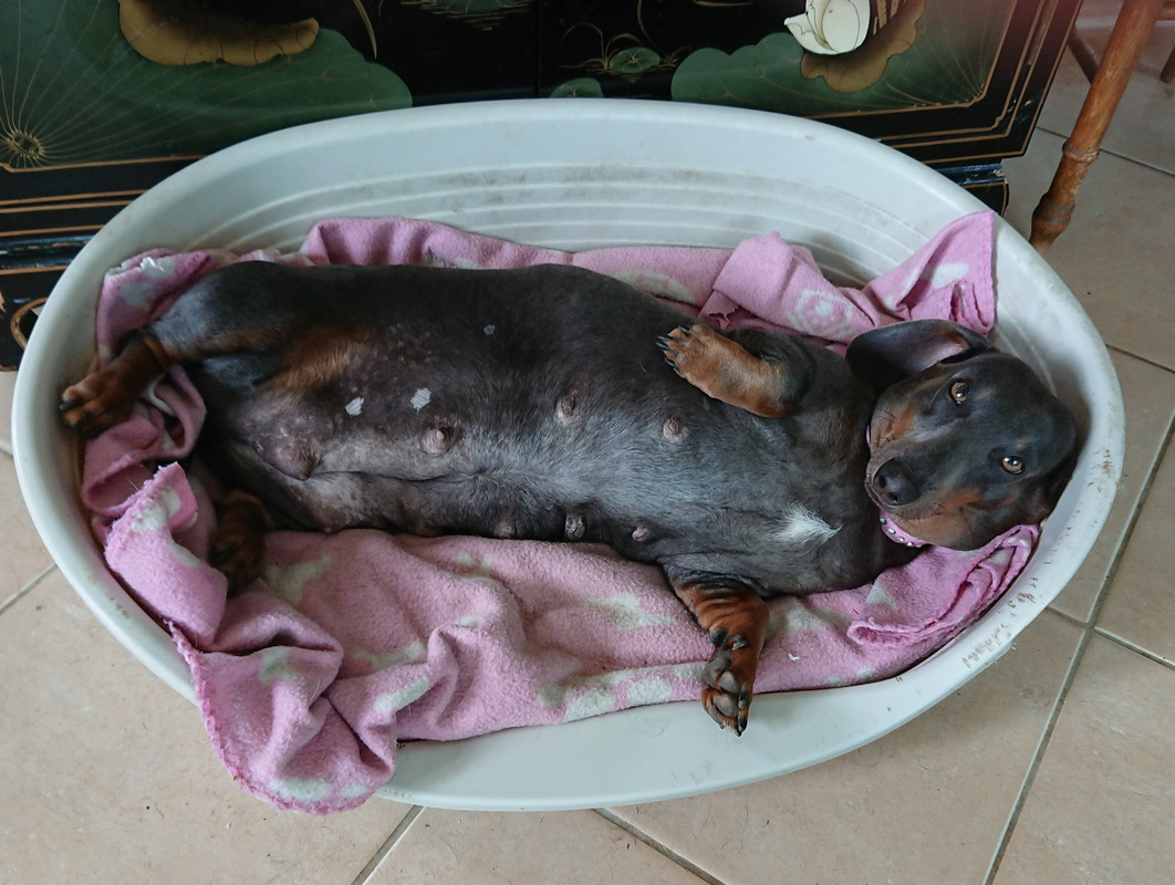 [Image: 20240924-155048.jpg]