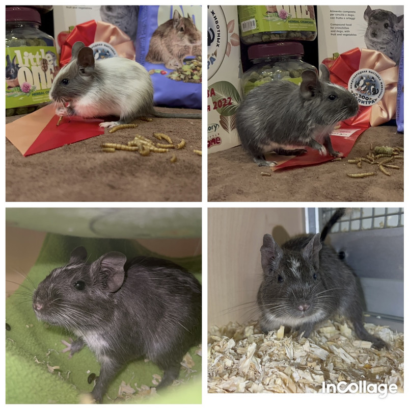 6FC4495A-375C-47D8-B250-5B0ECAAE8D79