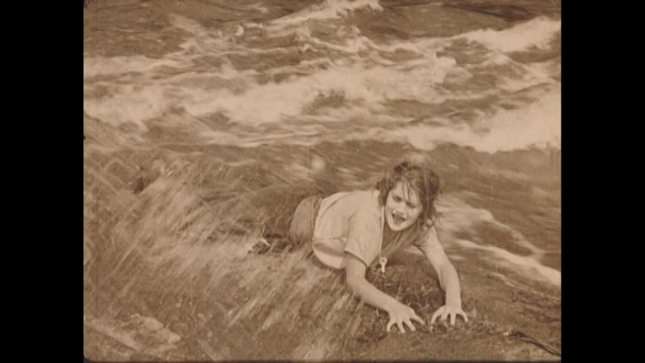 vlcsnap-2021-01-29-17h48m06s389