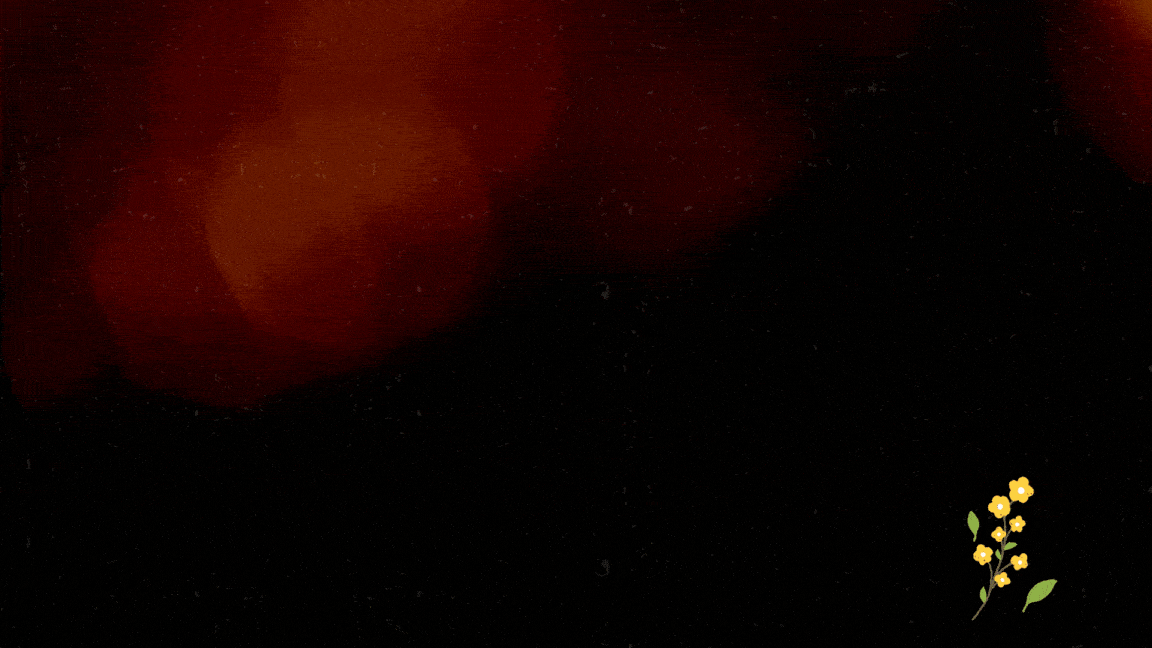 ezgif-com-optimize-1.gif
