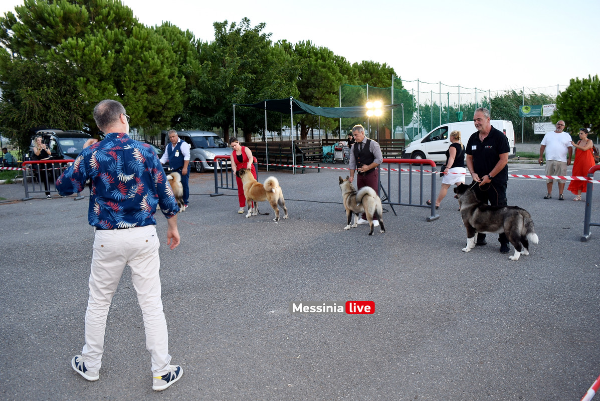 παρκο σκυλιαDSC_0961