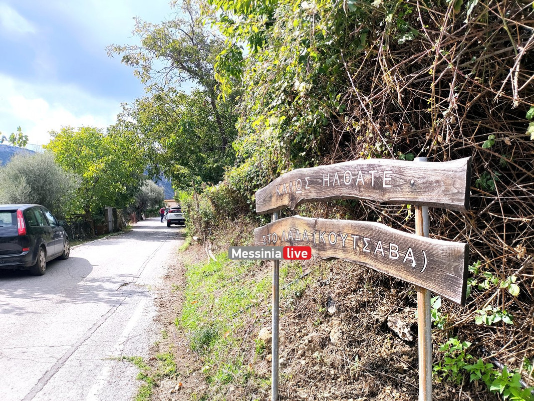 LADASIMG-20251012-132649